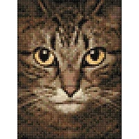 Crafting Spark Wise Cat Diamond Painting Kit