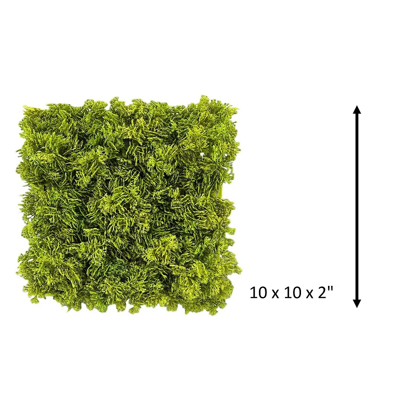 10" Faux Moss Mat by Ashland®