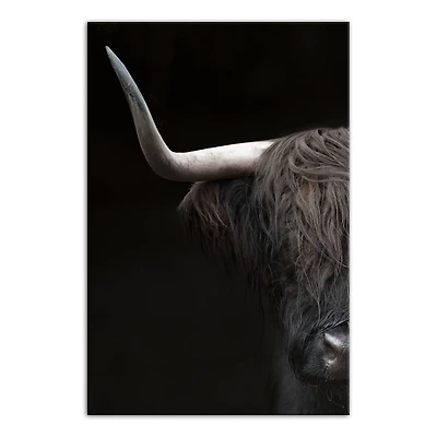 Highland Majesty 12" x 18" Canvas Wall Art