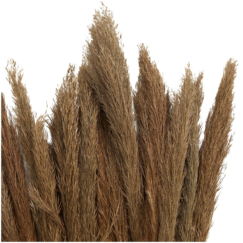 Dried Plant Bamboo Natural Foliage with Long Stems