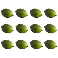 Faux Limes, 12ct.