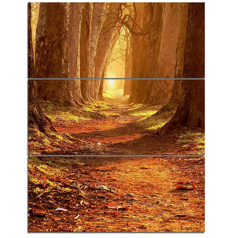 Designart - Magic Morning at the Fall Park