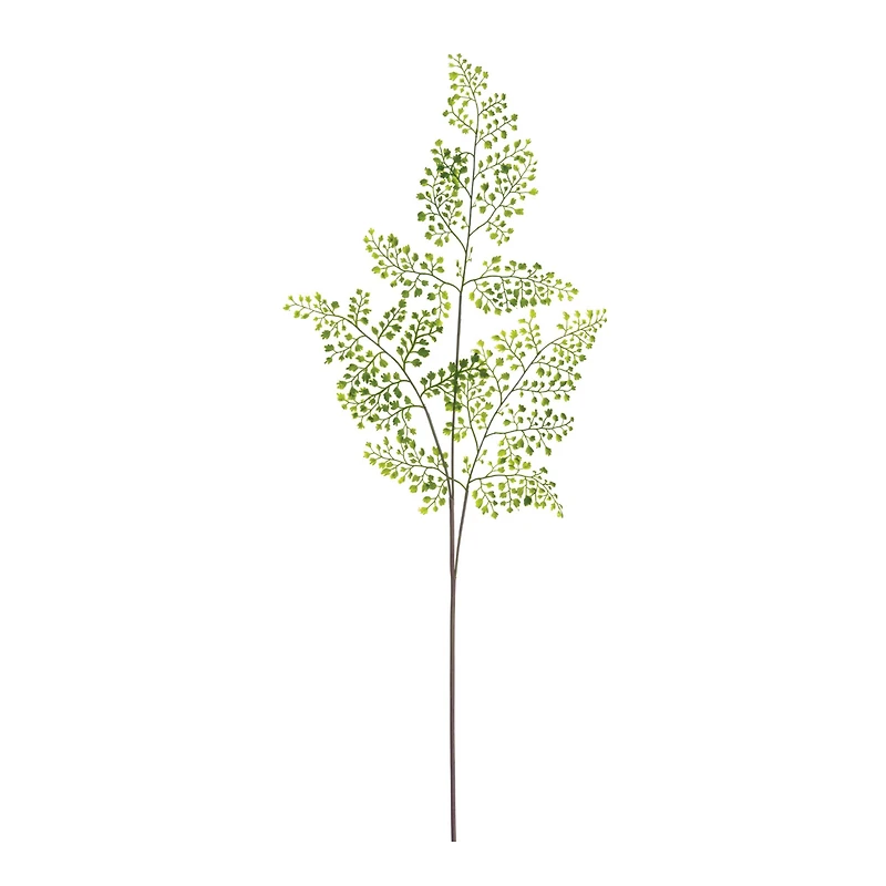 Forest Maidenhair Fern Spray 