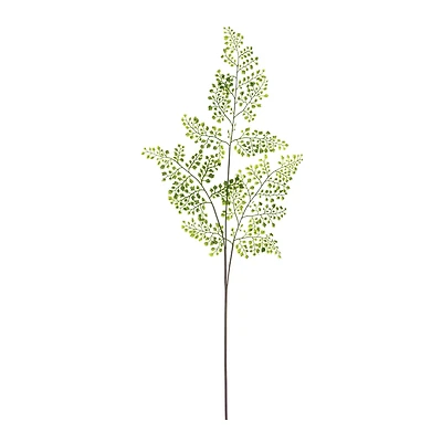 Forest Maidenhair Fern Spray 