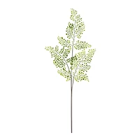 Forest Maidenhair Fern Spray 