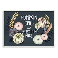 Stupell Industries Pumpkin Spice Everything Nice Phrase Autumn Harvest Feathers Wall Plaque