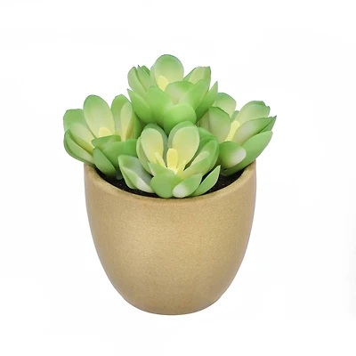 4" Succulent in Crackle Pot by Ashland®