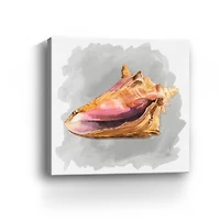Shells On Grey II Canvas Giclee