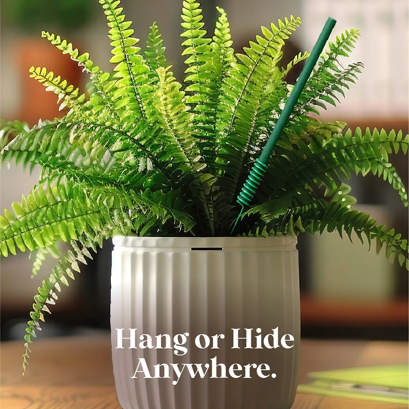 Scentsicles Stick Sun-Soaked Lavender and Honeysuckle Rose, 2 pack of 6