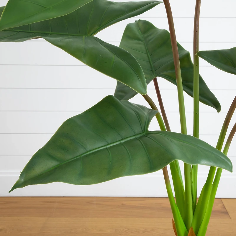 4.5ft. Arrowhead Philodendron in White Decorative Planter