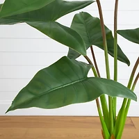 4.5ft. Arrowhead Philodendron in White Decorative Planter