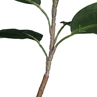 6ft. Potted Artificial Green Rubber Tree