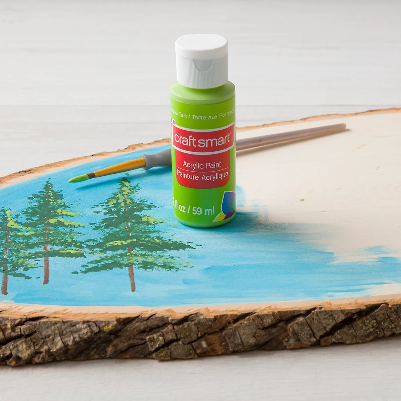 2oz. Acrylic Paint by Craft Smart