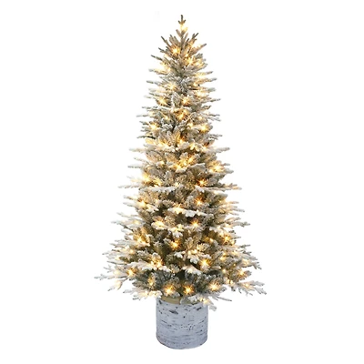 6ft. Pre-Lit Arctic Fir Artificial Potted Christmas Tree, Warm White LED Lights