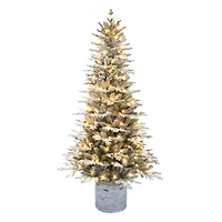 6ft. Pre-Lit Arctic Fir Artificial Potted Christmas Tree, Warm White LED Lights