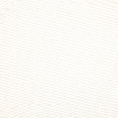 Wyla Honey Peach Shiny Tulle