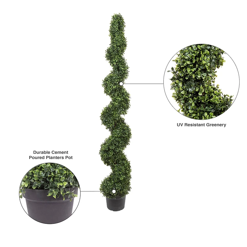 6ft. Potted Boxwood Spiral Tree