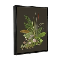 Stupell Industries Natural Forest Floor Mushrooms Ferns Framed Floater Canvas Wall Art