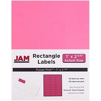 JAM Paper Fuchsia Pink Mailing Address Label Combo Set
