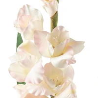 White Gladiolus Stem by Ashland®