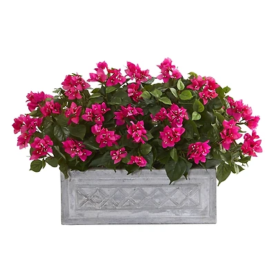 2.5ft. Pink Bougainvillea in Stone Planter