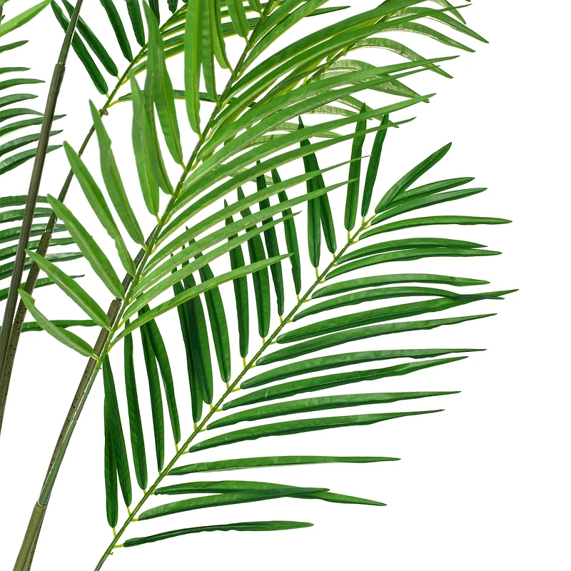 6ft. Potted Giant Areca Palm Tree