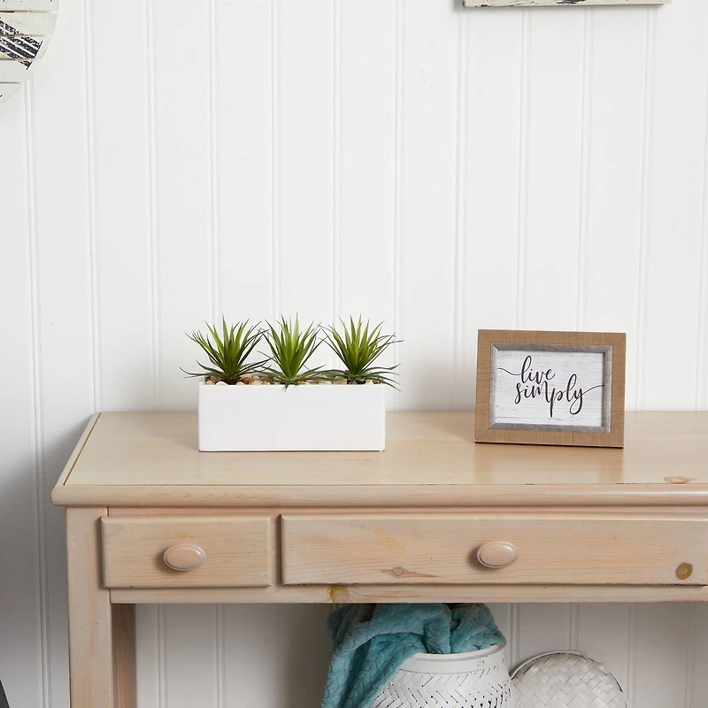 8" Mini Agaves in Rectangular Ceramic Planter