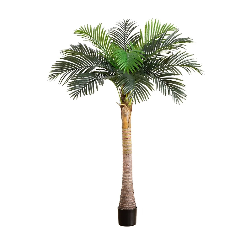 6ft. Potted Coconut Palm Tree