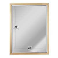 Brushed Brass/Chrome Metal Framed Beveled Edge Wall Mirror - 30" x 40"