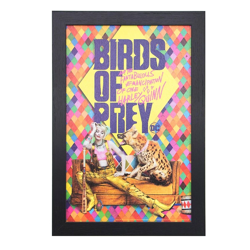 DC Comics™ Birds of Prey Harley Quinn Framed Wall Art