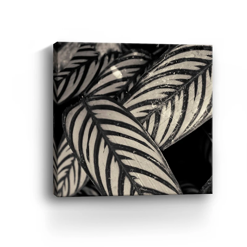 Varigated Leaves No. 2 Canvas Giclee