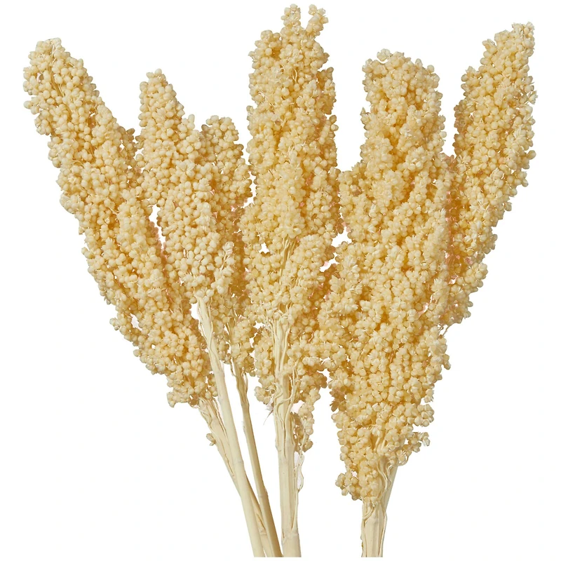 Dried Corn Maize Natural Foliage with Long Stems