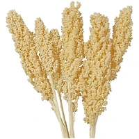 Dried Corn Maize Natural Foliage with Long Stems