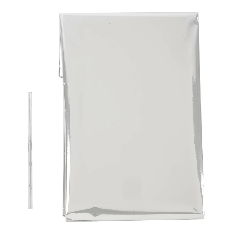 Metallic Basket Gift Bag by Celebrate It