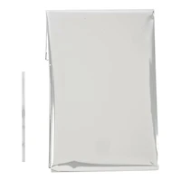 Metallic Basket Gift Bag by Celebrate It