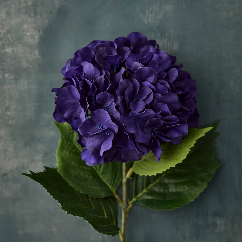 Purple-Blue Hydrangea Stem by Ashland®
