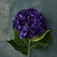 Purple-Blue Hydrangea Stem by Ashland®