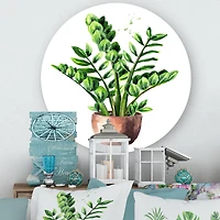 Designart - Zamioculcas Tropical Plant With Green Leaves