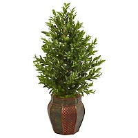 3.5ft. Green Olive Cone Topiary Tree in Decorative Planter
