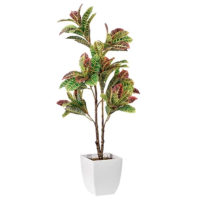 American Art Decor 4ft. Croton Tree in White Ceramic Pot