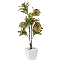American Art Decor 4ft. Croton Tree in White Ceramic Pot