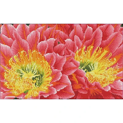 Diamond Dotz® Intermediate Desert Blooms Diamond Painting Kit