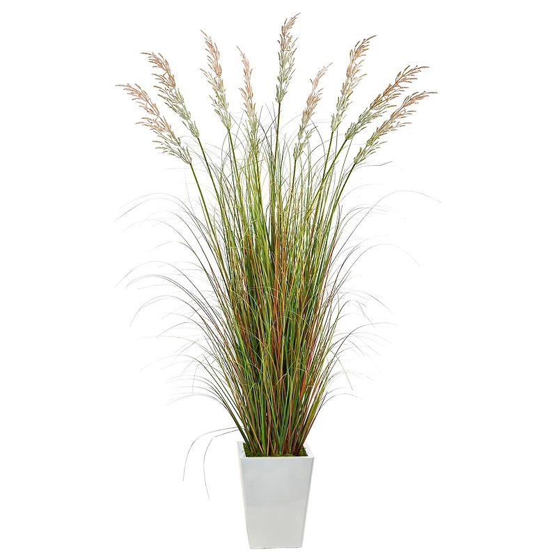 6ft. Grass Plant in White Metal Planter