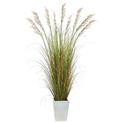 6ft. Grass Plant in White Metal Planter