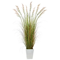 6ft. Grass Plant in White Metal Planter