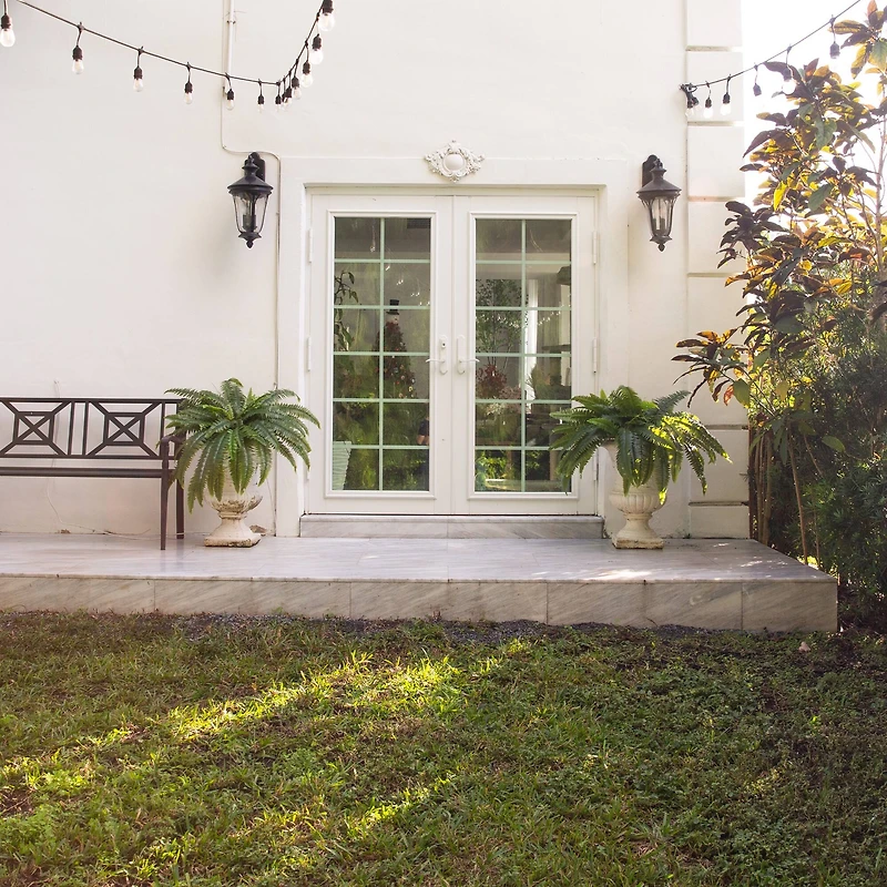 4ft. UV-Resistant Artificial Boston Ferns, 2ct.