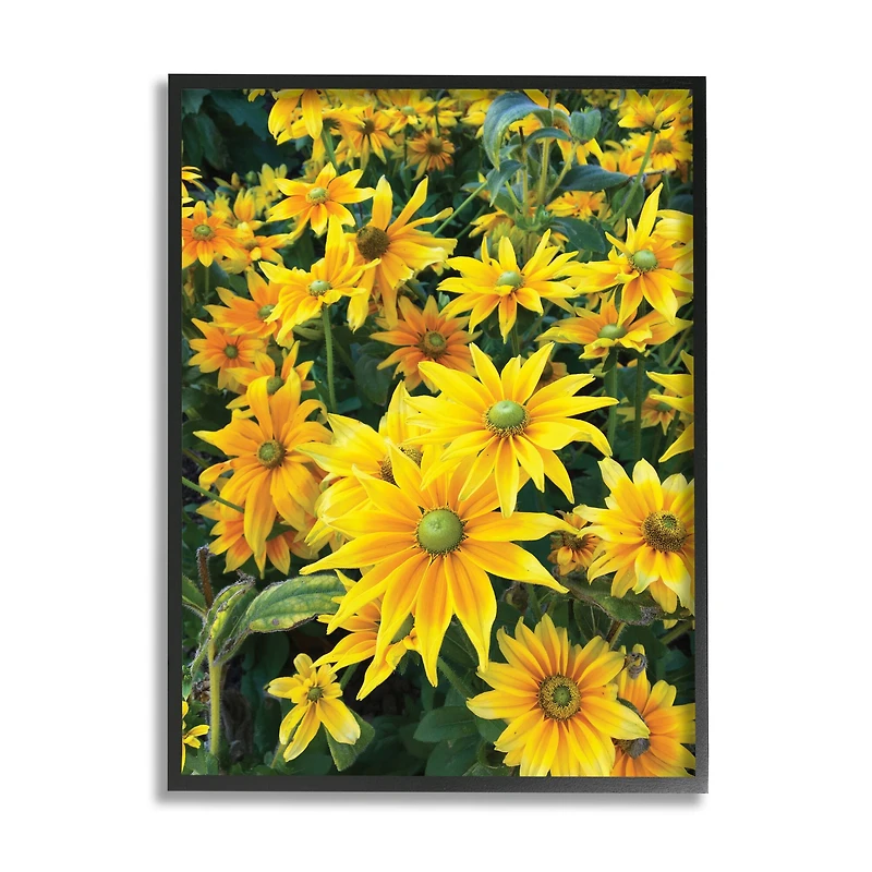 Stupell Industries Sunflower Field Blooming Green Bulbs Yellow Petals in Frame Wall Art