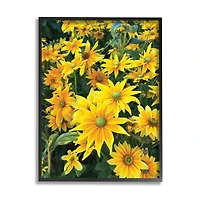 Stupell Industries Sunflower Field Blooming Green Bulbs Yellow Petals in Frame Wall Art