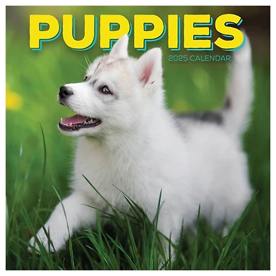 TF Publishing 2025 Puppies Wall Calendar