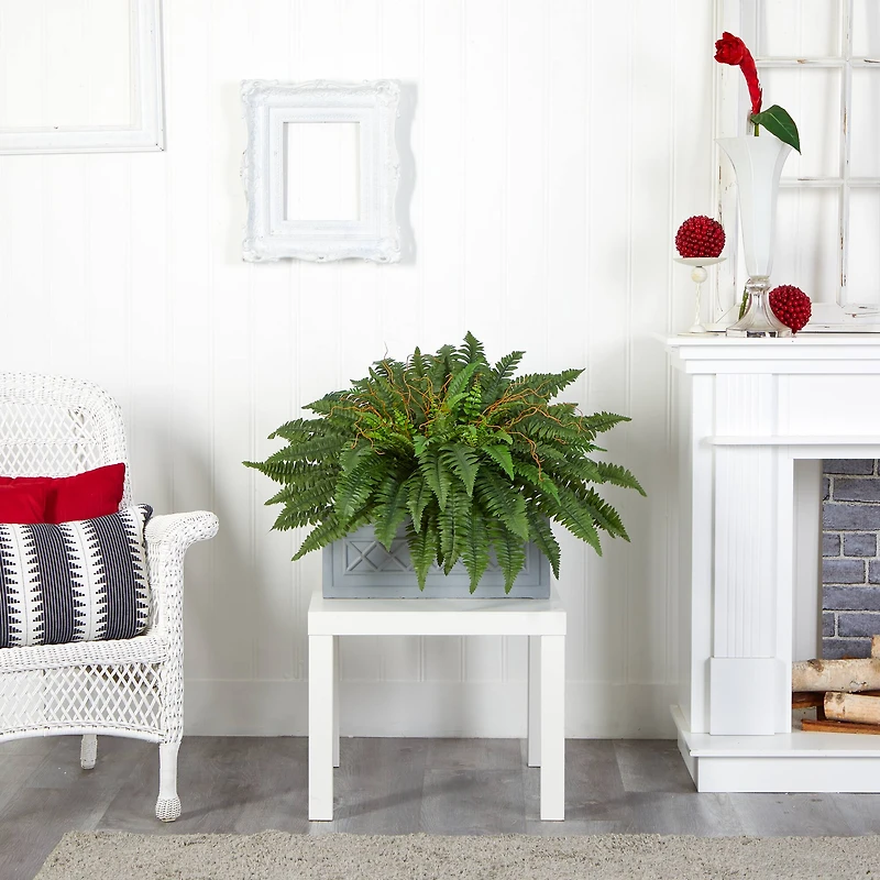 2.5ft. Boston Fern Plant in Stone Planter